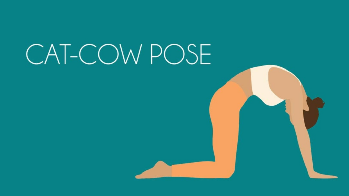 Cat-cow pose