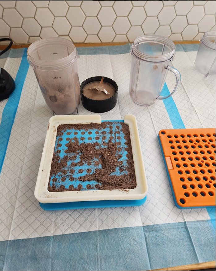 Placenta encapsulation